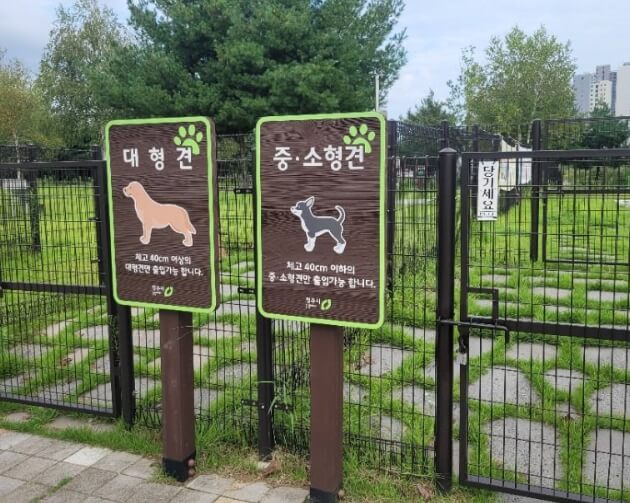 청주 가볼만한곳 베스트 10