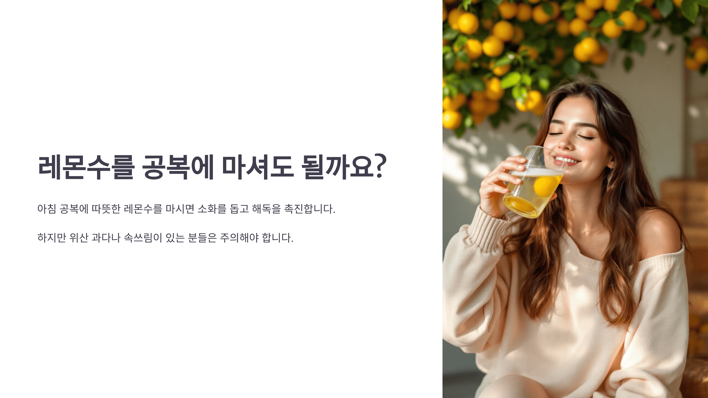 레몬수와 관련된 사진입니다.