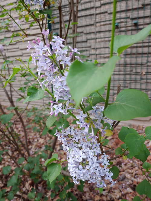 시선을 달리하다-늘-흥미-진진한-동네-산책