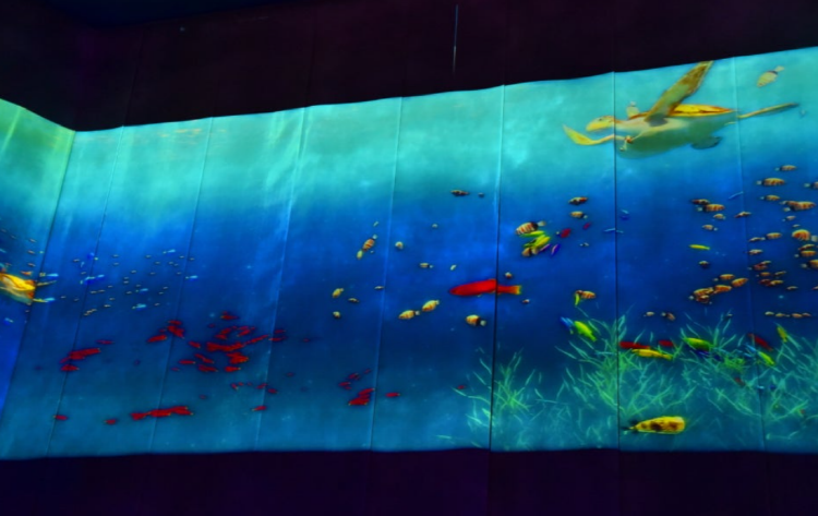 국립해양생물자원관