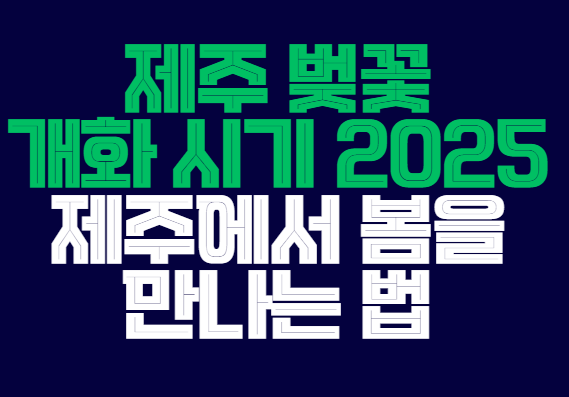 제주_벚꽃_2025