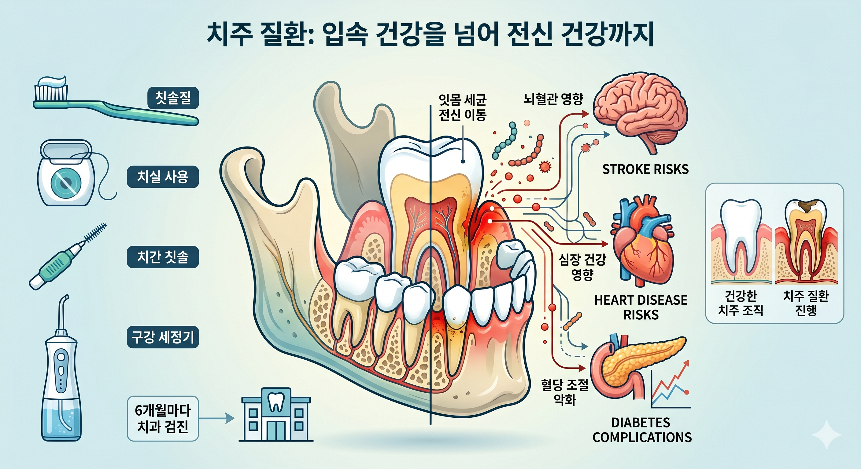 치아건강