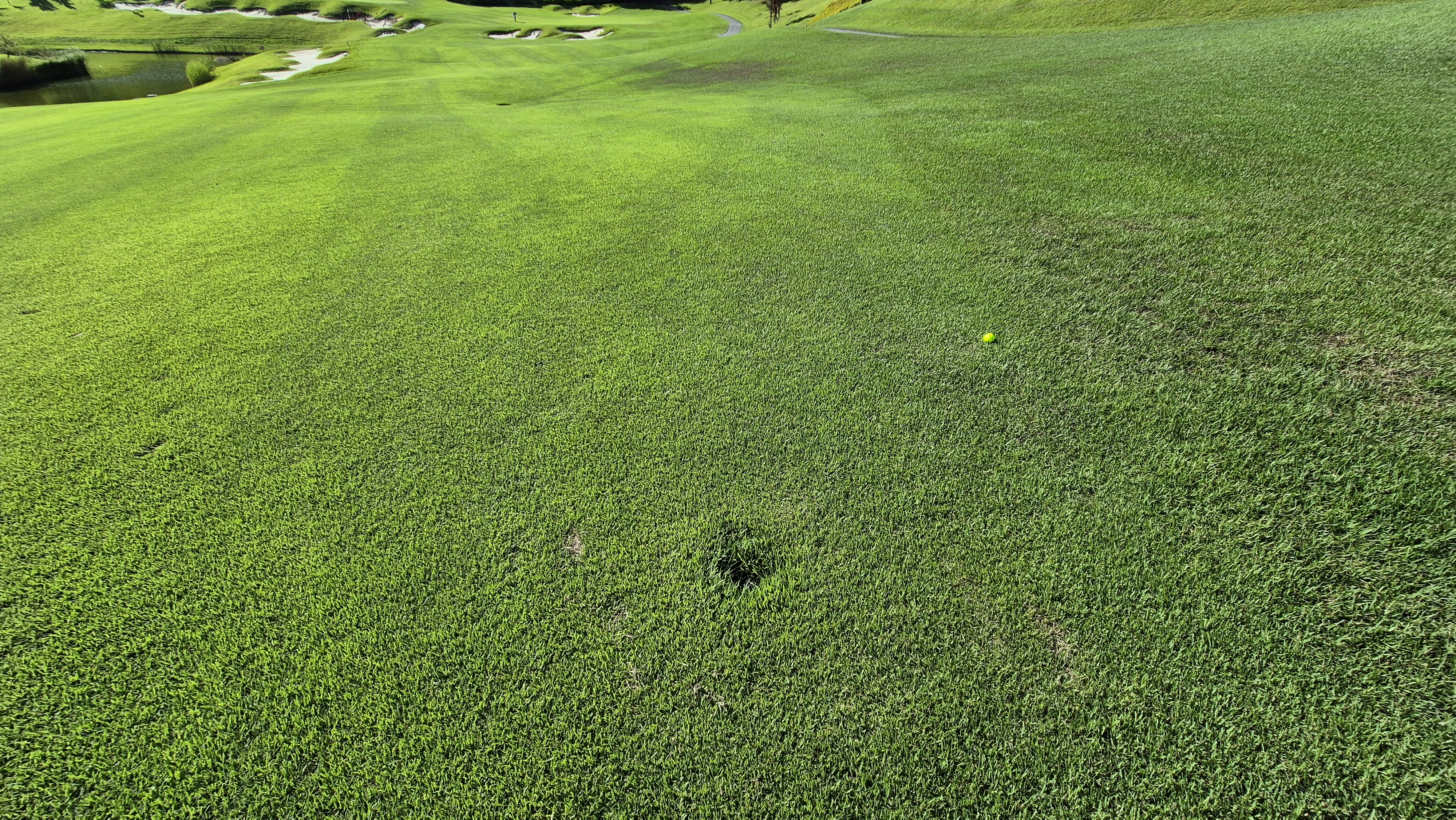 SG 아름다운cc 라운드 후기