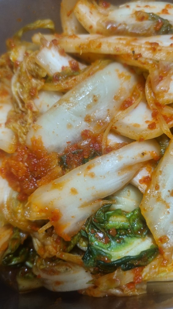 김장김치 소금물 유지 