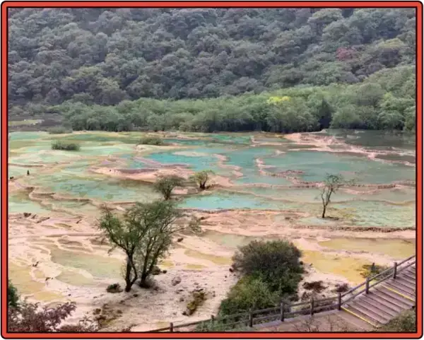 구채구-황룡-풍경구-삼림