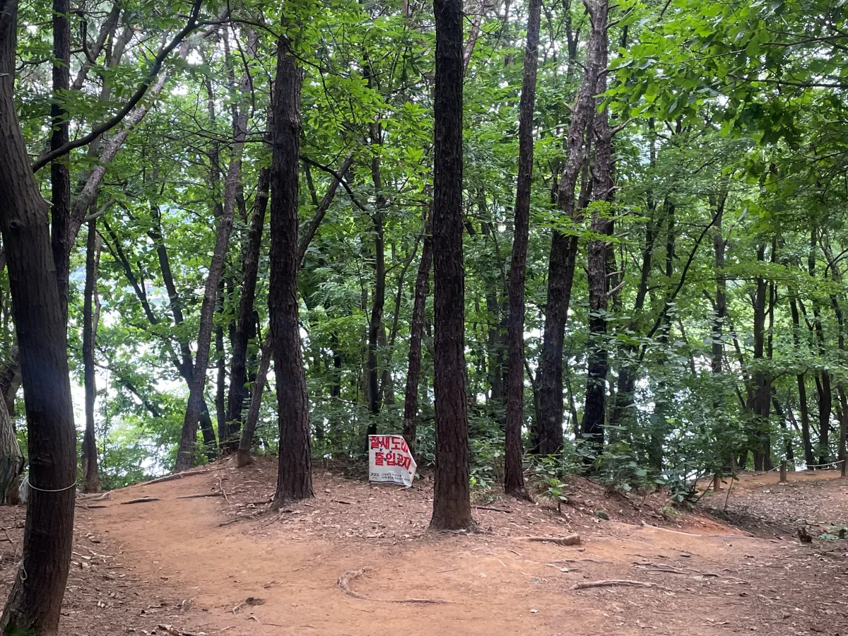 포천-국립수목원-근처-데크길에서-산책하기-좋은-고모리호수공원,-고모저수지