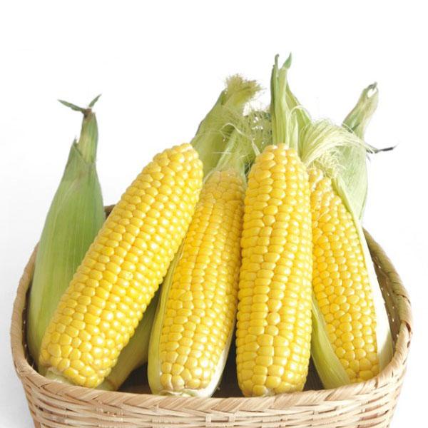 옥수수 효능 및 부작용(보관법)