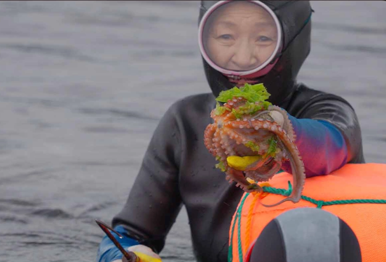 제주 해녀 물질 체험 정보 및 신청 방법