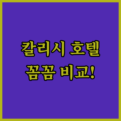 조식부터 룸서비스까지! 칼리시 호텔,..