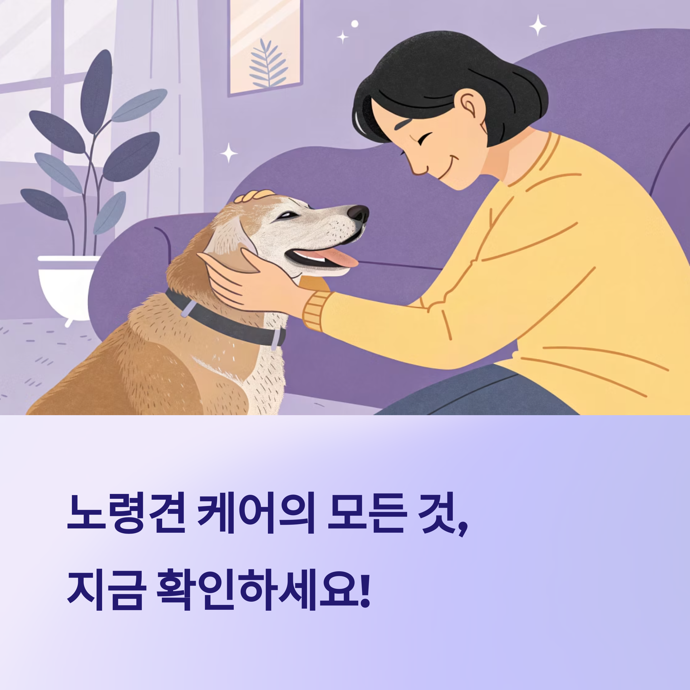 노령견 케어 완벽 가이드