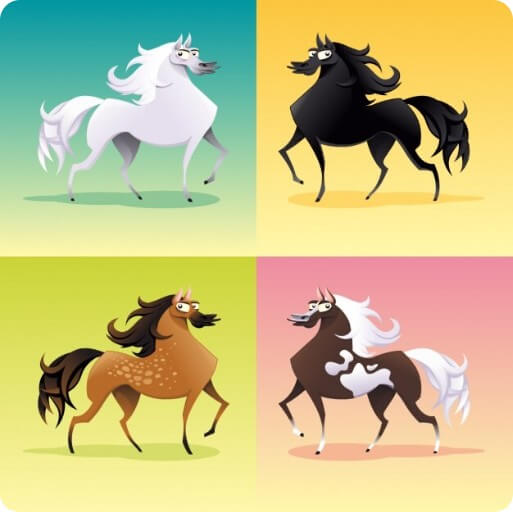 여러 종류의 말이 천천히 걷고 있는 모습