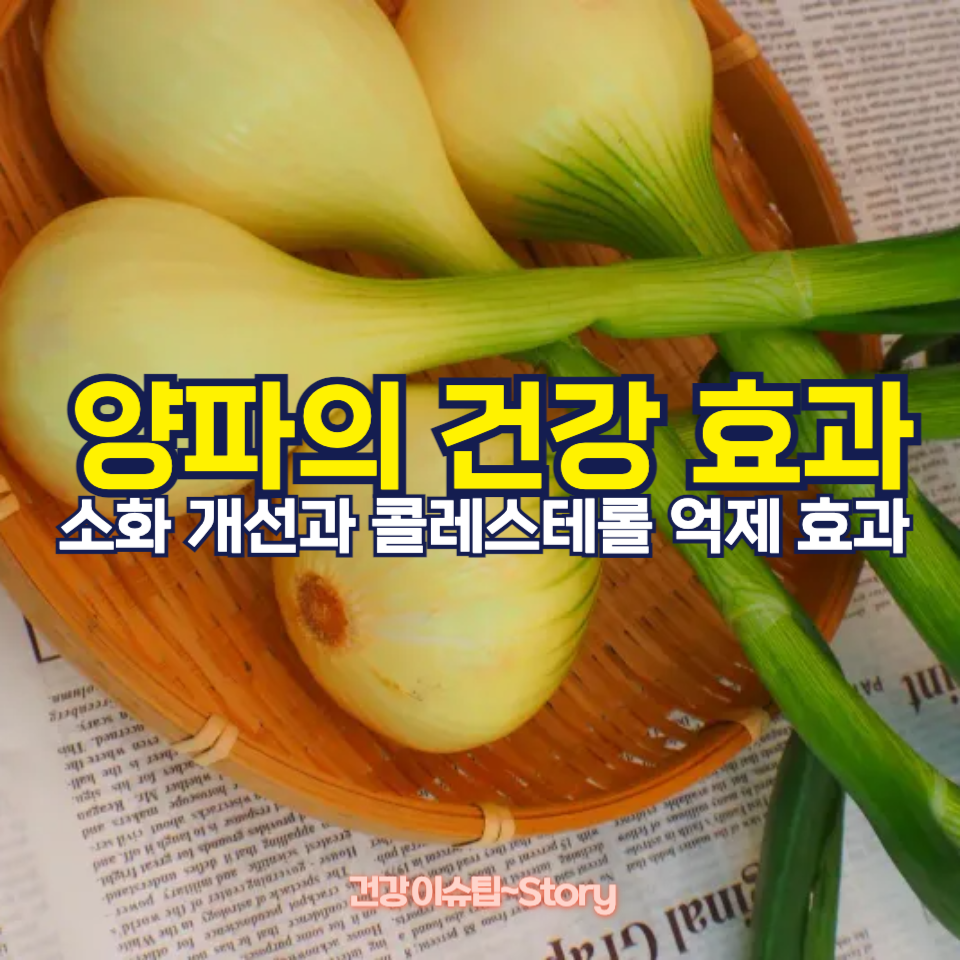 양파가 몸에 미치는 놀라운 효과