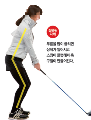 골프 어드레스 잘못된 자세