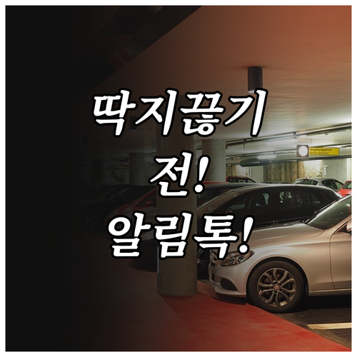 대구 서구 주정차 단속 알림 서비스 ..