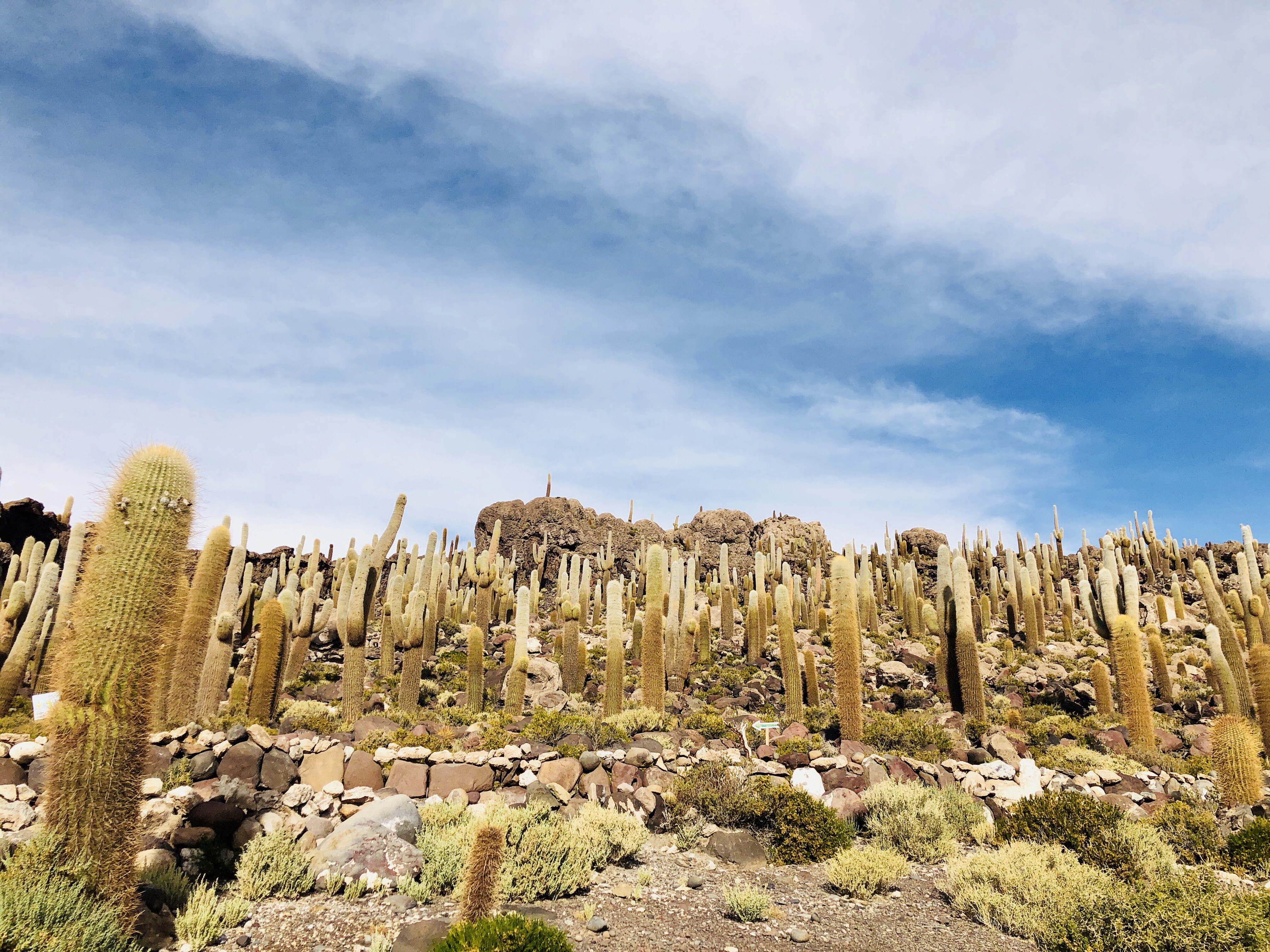 우유니 잉카와시 섬