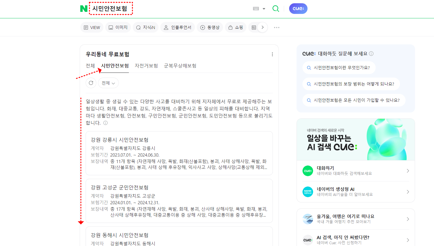 시민안전보험 일상생활보험 03