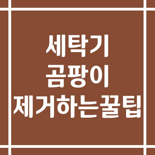 세탁기 곰팡이 제거하는 꿀팁