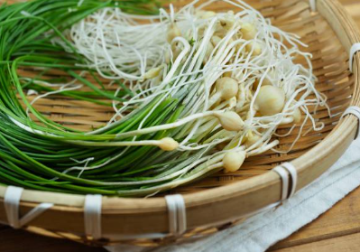 냉이 된장국 및 무침 레시피 (+ 효능 요리법 파종시기)