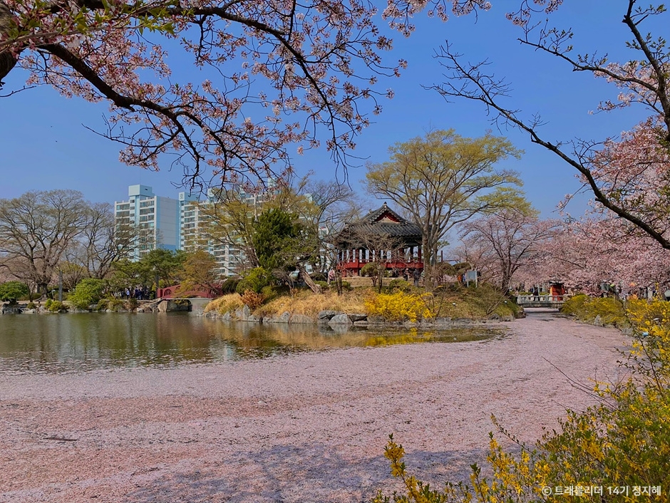 김천 가볼만한곳 베스트10