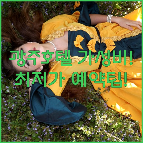 광주 4성급 호텔 5곳 가성비 위치 ..