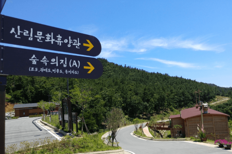 국립 진도 자연휴양림