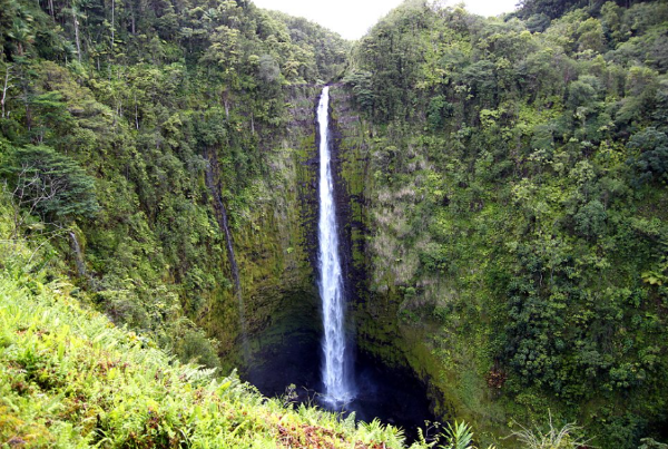 하와이 신혼여행