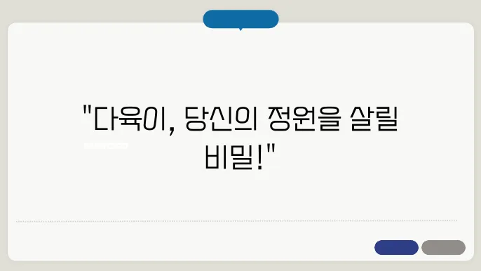다육이 키우기 관리 방법