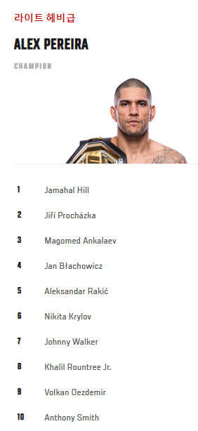 라이트 헤비급 랭킹