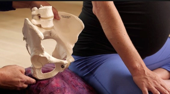 골반 라인 교정 방법 영상 Tip