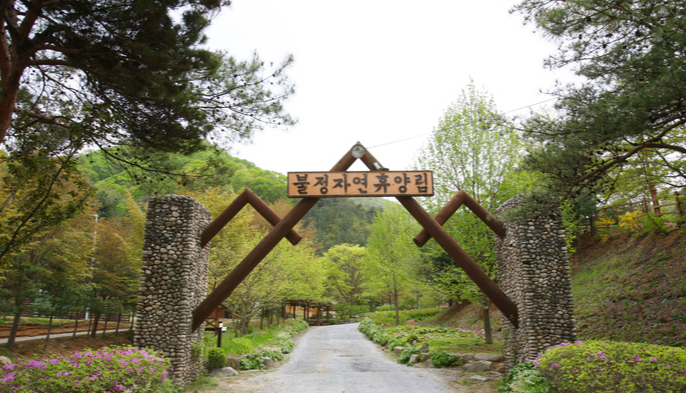 불정자연휴양림