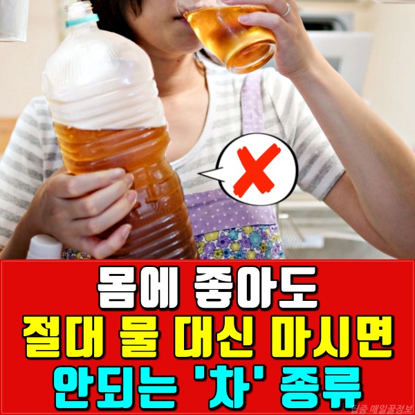 물대신 마시면 안되는차, 물 대신 마실수 있는 차, 옥수수수염차, 헛개나무차, 결명자차, 건강, 팁줌 매일꿀정보