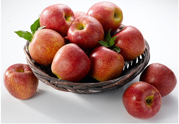 설사에 좋은 음식