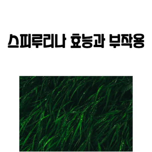 스피루리나 효능과 부작용