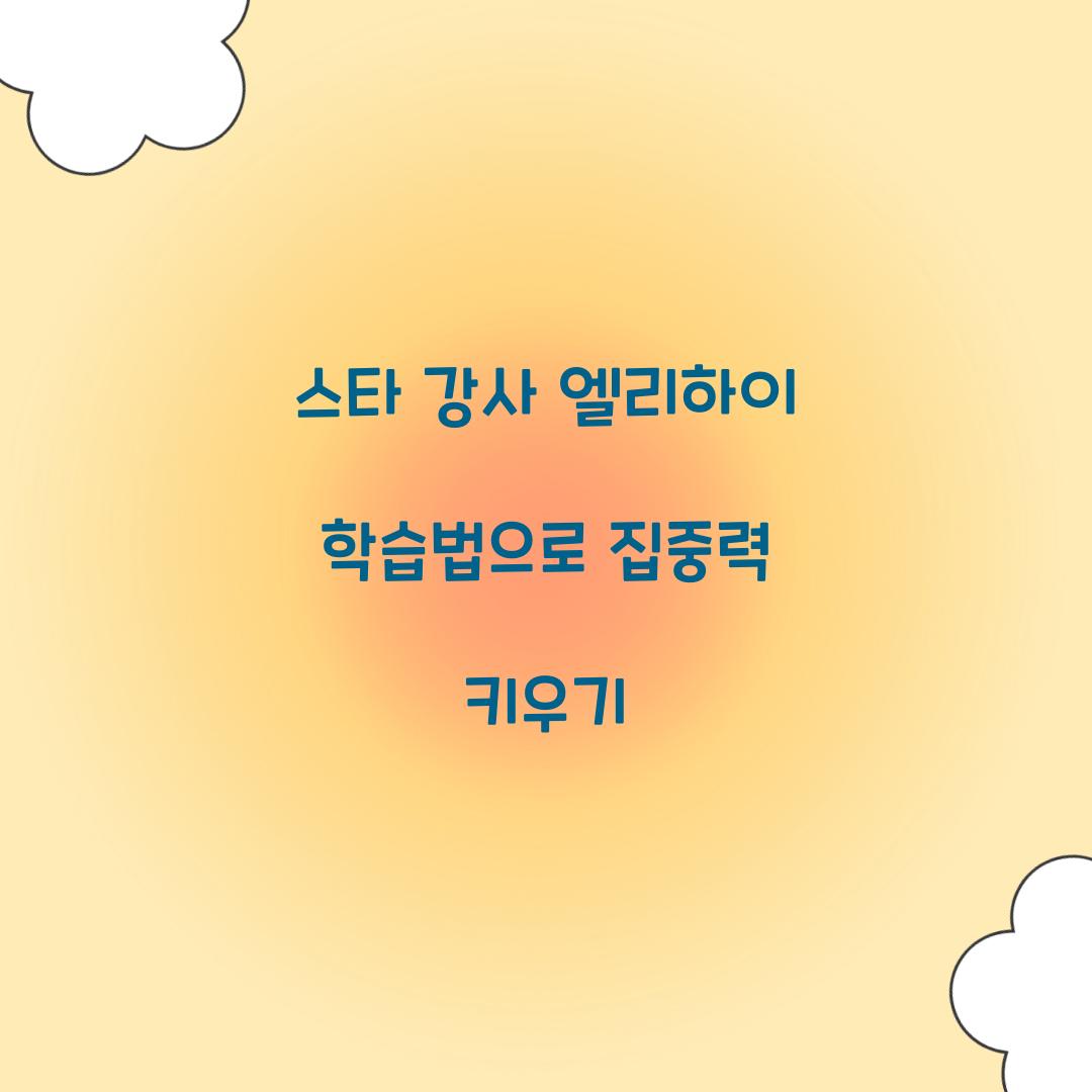 스타 강사 엘리하이 학습법