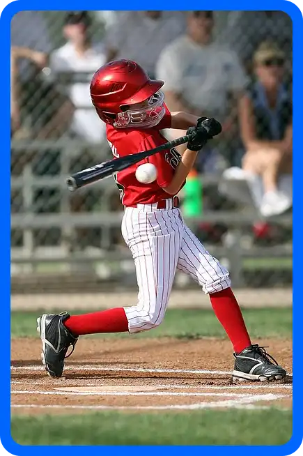 2024 WBSC 프리미어 12 일정표