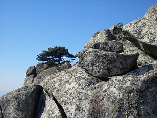 사주명리학 금오행으로 알아보는 자기계발, 직업과 사업, 인간관계와 삶의 균형 활용법