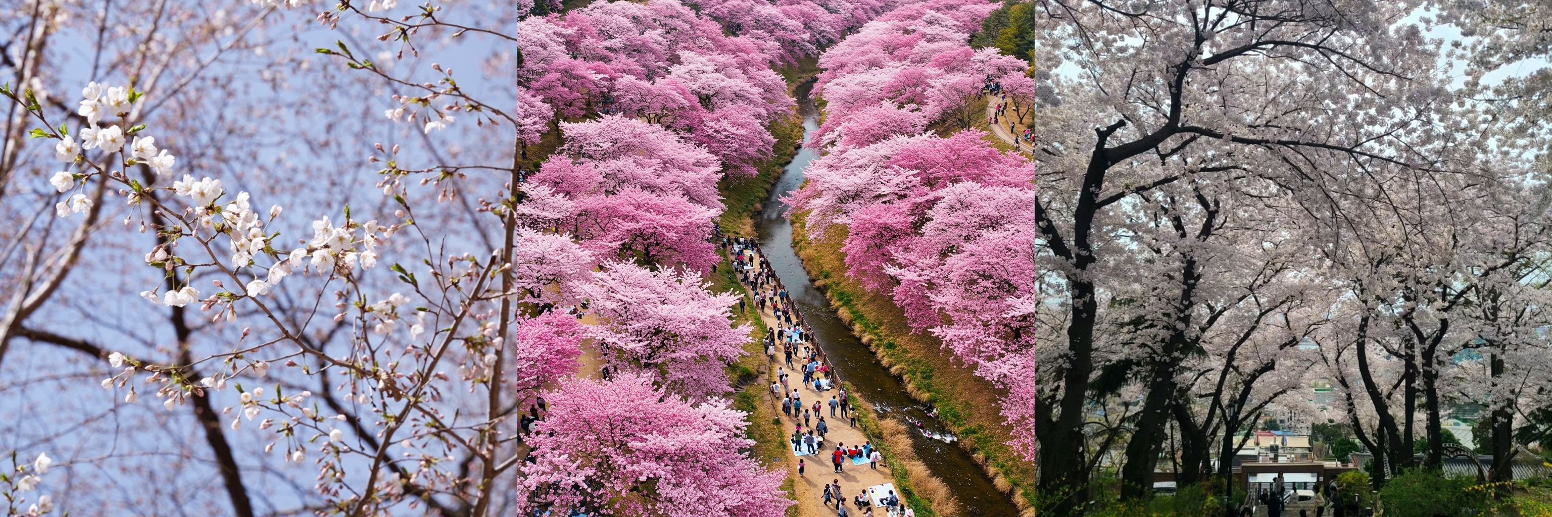 출처 : 석촌호수 길