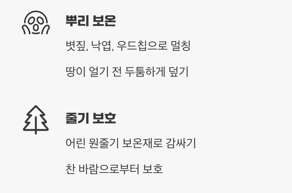 첫겨울, 따뜻한 옷을 입혀주세요