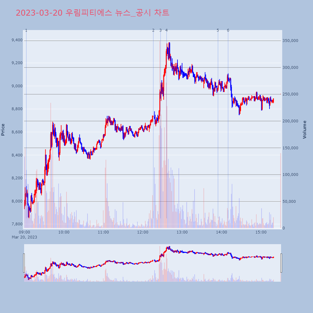 우림피티에스_뉴스공시차트