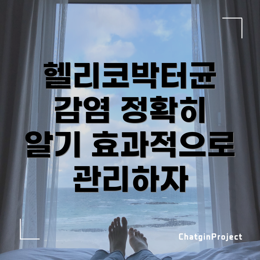 헬리코박터균 감염