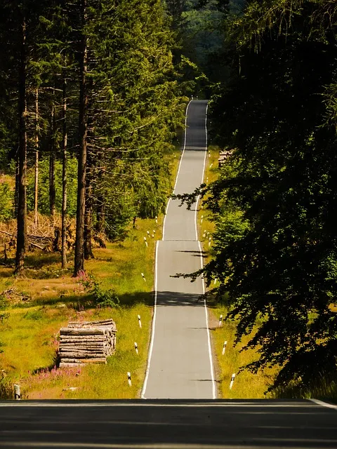 비트겐슈타인 언어게임 이해법과 철학적 의사소통 원리_3