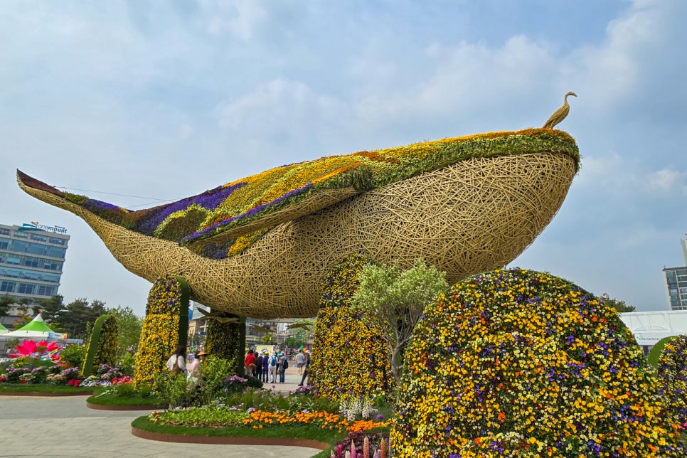 돌고래 위에 갈매기 모양