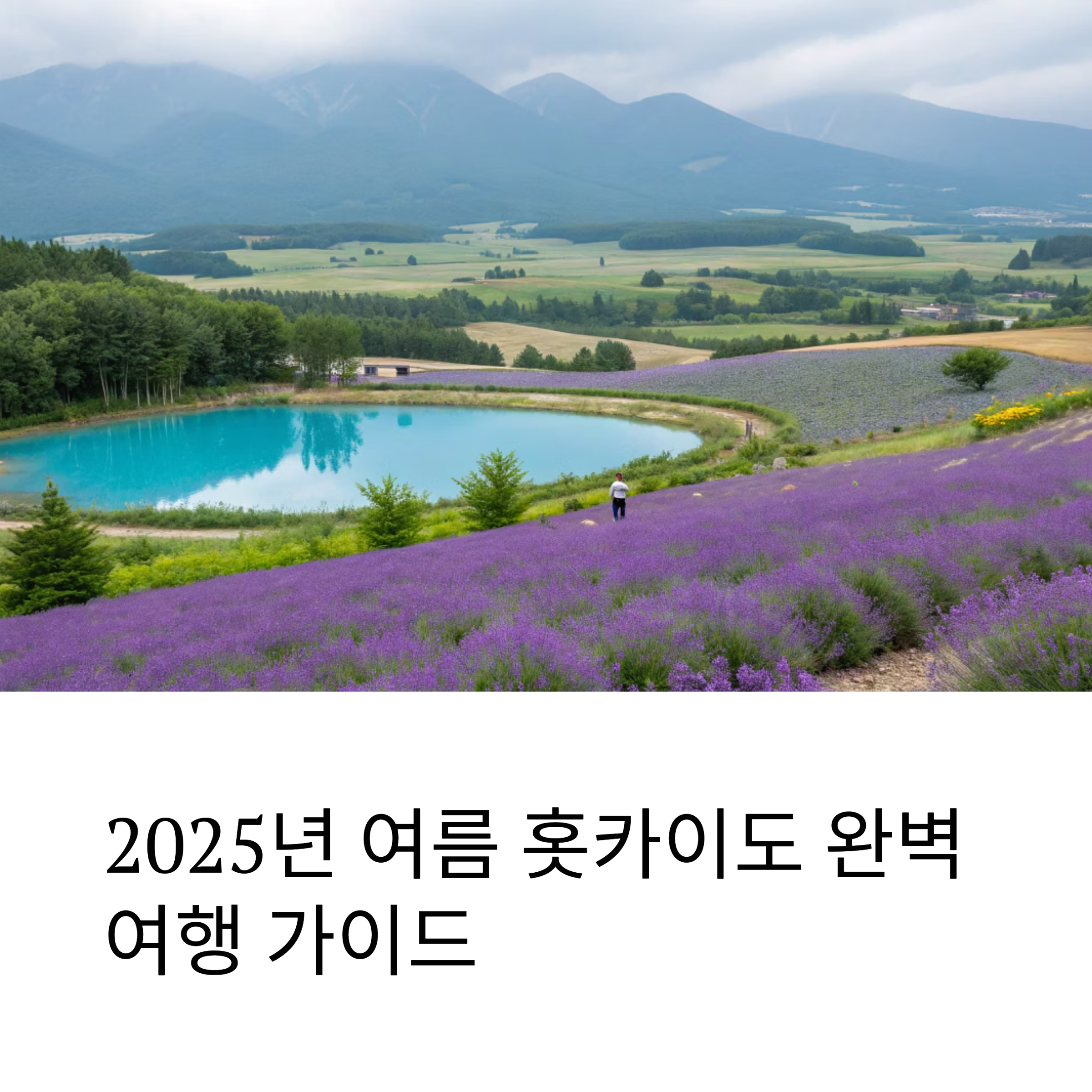 2025년 여름 홋카이도 자연 명소