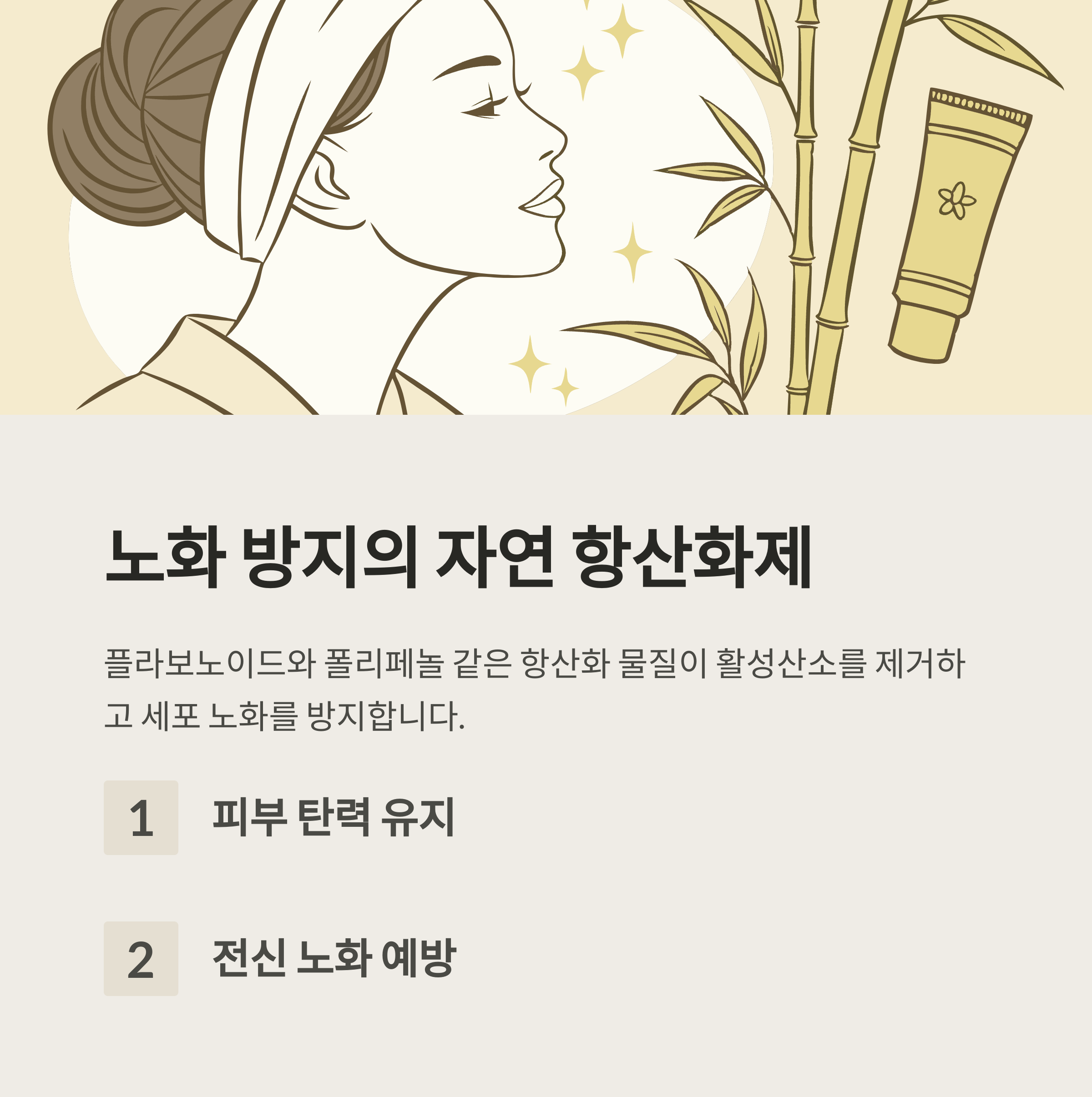 항산화 성분으로 노화 예방