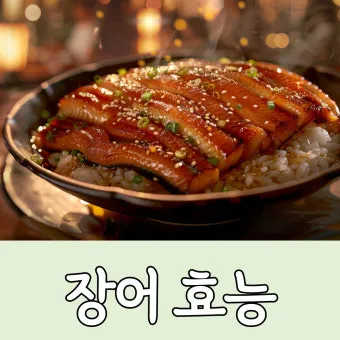 장어 효능 장어와 상극인 음식 건강 상식_37