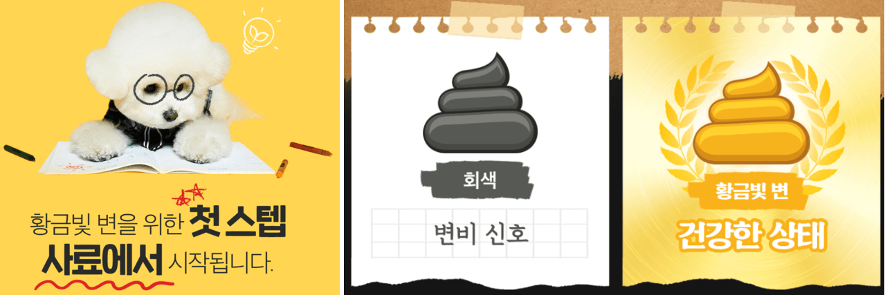 강아지-대변-색상-건강-정보표