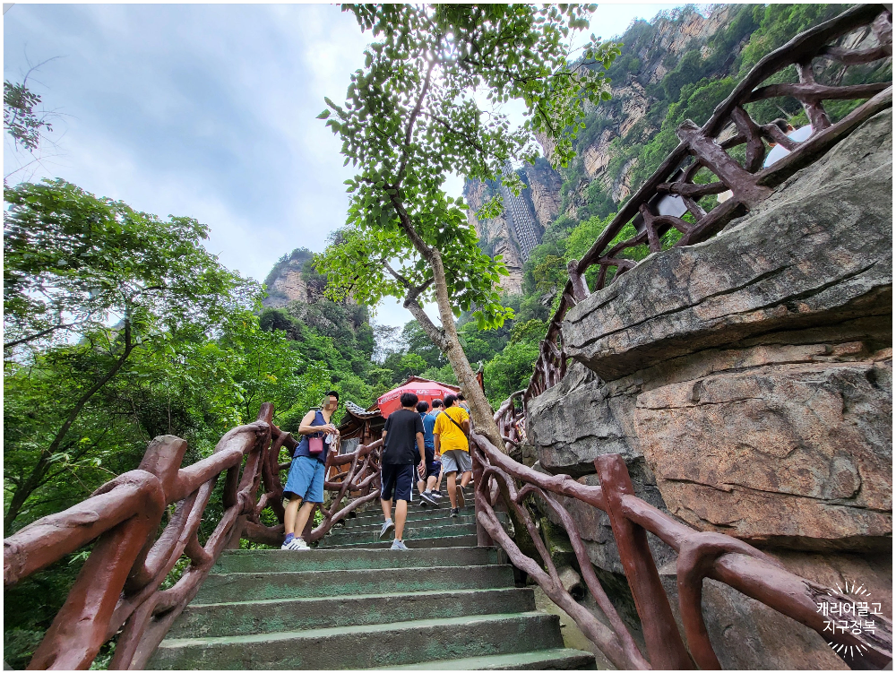 중국 장가계 원가계 백룡 엘리베이터