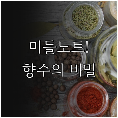 향수의 심장 미들노트: 발향 구조의 ..