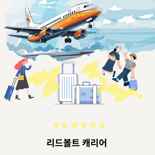 리드볼트 캐리어 vs 유명 브랜드 캐리어 비교 분석-가성비 여행캐리어 선택 가이드