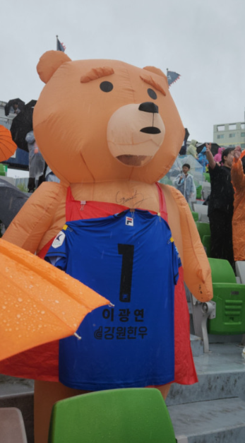 곰돌좌